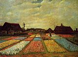 Vincent van Gogh Bulb Fields painting